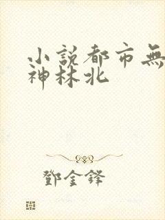 小说都市无敌战神林北