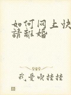 如何网上快速申请离婚