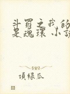 斗罗之我的武魂是魂环 小说