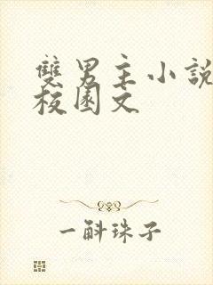 双男主小说推荐校园文