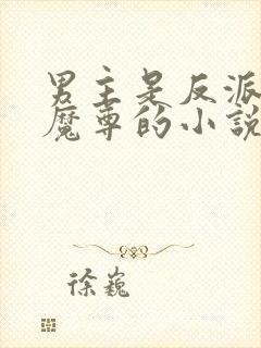 男主是反派魔头魔尊的小说