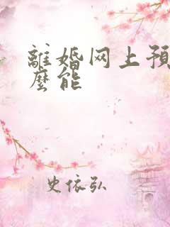 离婚网上预约怎么能