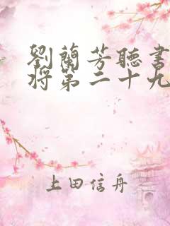 刘兰芳听书杨家将第二十九集