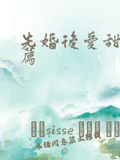 先婚后爱甜文推荐