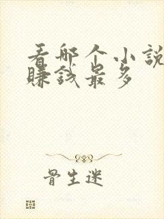 看哪个小说软件赚钱最多