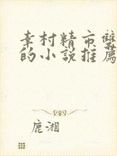 幸村精市双男主的小说推荐