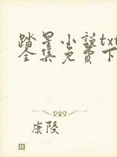 踏星小说txt全集免费下载