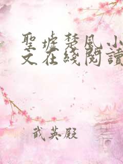 圣墟楚风小说全文在线阅读