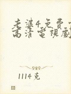 老婆4免费完整高清电视剧在线观看