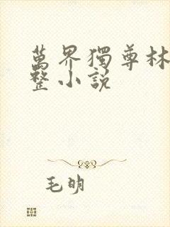 万界独尊林枫完整小说