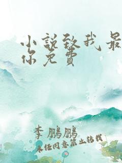 小说致我最爱的你免费