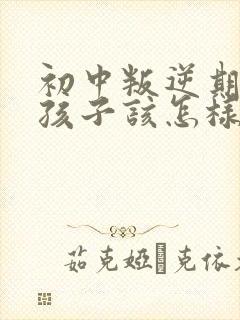 初中叛逆期的男孩子该怎样去沟通教育