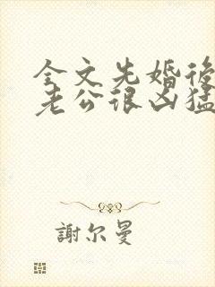 全文先婚后爱:老公很凶猛