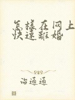 怎样在网上办理快速离婚