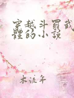 穿越斗罗武魂本体的小说