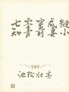 七零穿成糙汉的知青前妻小说