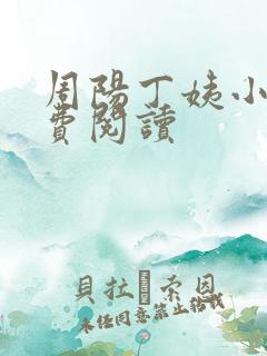 周阳丁姨小说免费阅读