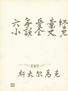 六年爱意终成恨小说全文免费阅读