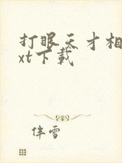 打眼天才相师txt下载