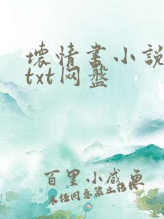 坏情书小说免费txt网盘