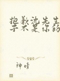 抱歉沈先生,孩子不是你的免费观看短剧