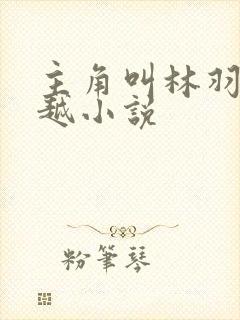 主角叫林羽的穿越小说