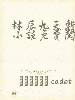 林辰九天斩神诀小说免费阅读