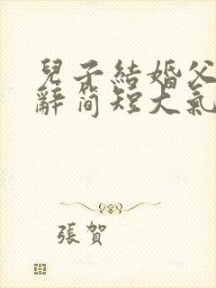 儿子结婚父亲致辞简短大气