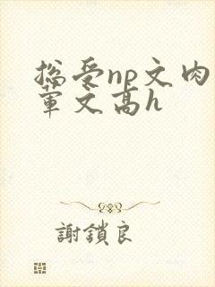 总受np文肉多荤文高h