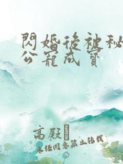 闪婚后被秘书老公宠成宝