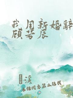 我用新婚辞旧情顾若辰