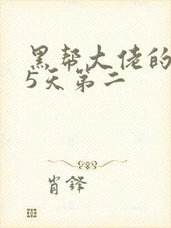 黑帮大佬的365天第二