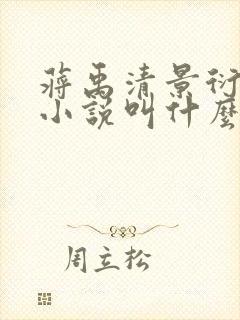 蒋禹清景衍穿越小说叫什么名字