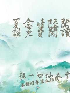 夏念晴陆闻琛小说免费阅读最新章节