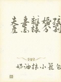 夫妻离婚孩子财产怎样分割问律师