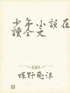 少年小说在线阅读全文