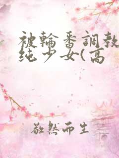 被轮番调教的清纯少女(高