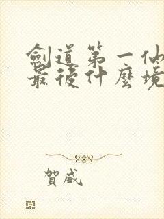 剑道第一仙苏奕最后什么境界