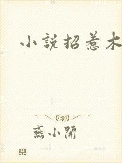 小说招惹木兮娘
