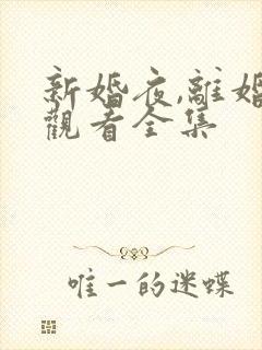 新婚夜,离婚时观看全集