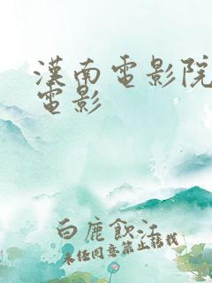 汉南电影院今日电影