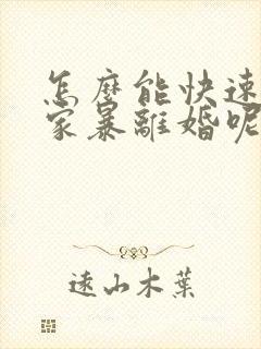 怎么能快速起诉家暴离婚呢