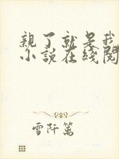 亲了就是我媳妇小说在线阅读全文免费