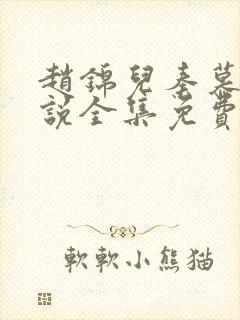 赵锦儿秦慕修小说全集免费阅读