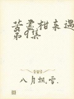 苦尽柑来遇见你第9集