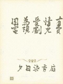 因为爱情有多美电视剧免费观看下载