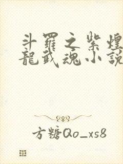 斗罗之紫煌灭天龙武魂小说