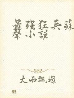 最强狂兵苏锐有声小说