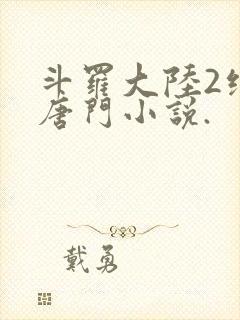 斗罗大陆2绝世唐门小说.