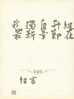 我独自升级小说最新章节在线阅读